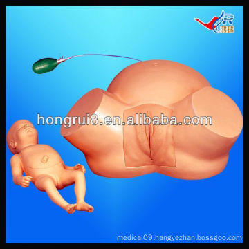 ISO Advanced Difficult Labor Model, Childbirth Simulator,delivery model